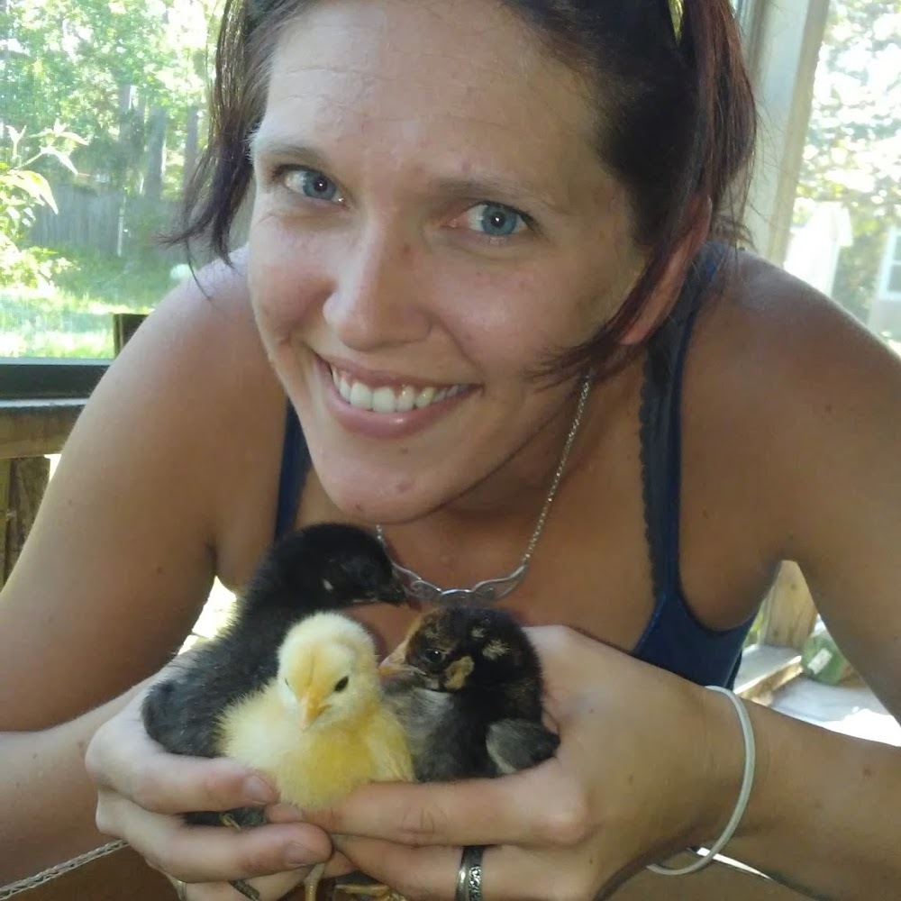 Meet your Posher, S.